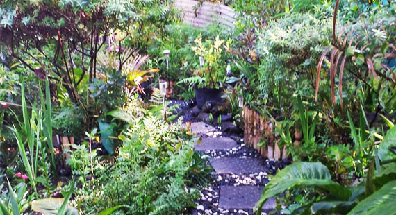 ChezdanygrandbassinJardin